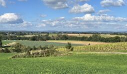 Un paysage de campagne dans le Morbihan