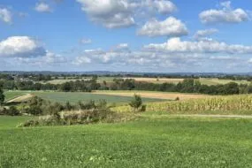 Un paysage de campagne dans le Morbihan