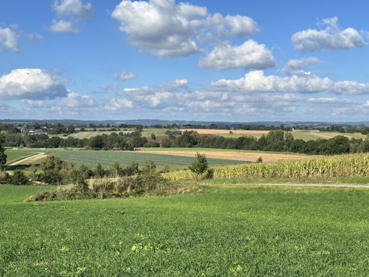 Un paysage de campagne dans le Morbihan