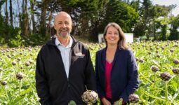 Marc Kerangueven et Maiwenn Le Pierrès dans un champ d'artichaut