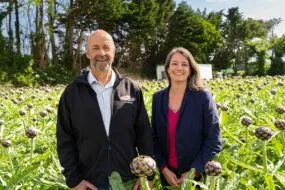 Marc Kerangueven et Maiwenn Le Pierrès dans un champ d'artichaut