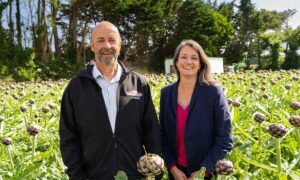Marc Kerangueven et Maiwenn Le Pierrès dans un champ d'artichaut
