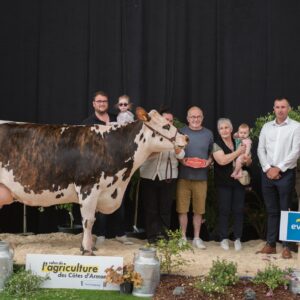 Une vache de race Normande sur le podium d'un concours bovins accompagnée de personnes