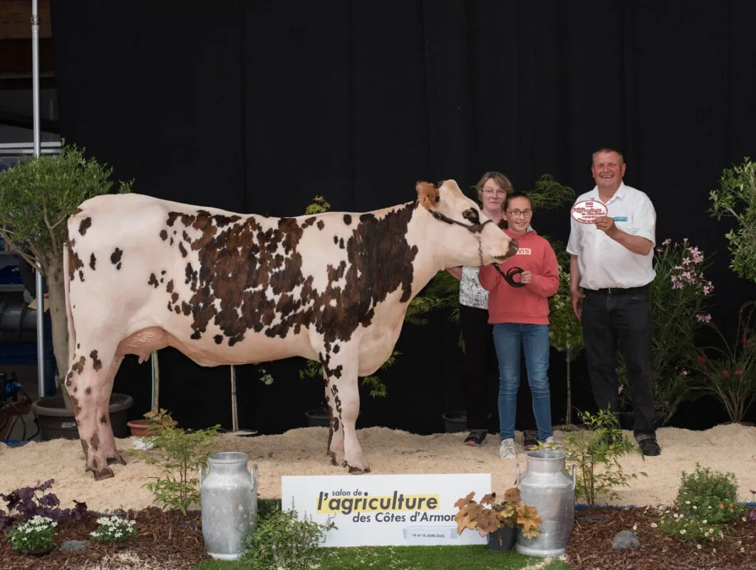 Tisane (Ringman x Natanga), à l’EARL Martin à Plouasne (22), premier prix de section chez les primipares
