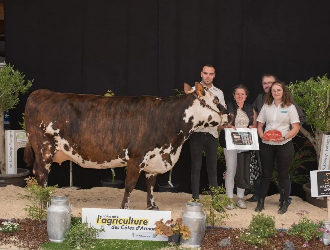 Meilleure bouchère, Ramdame, au Gaec Ogé à Sérent (56)