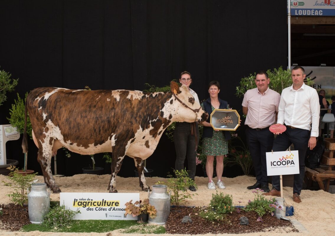 Meilleure laitière et prix des 5e lactation et plus, Mélissa, au Gaec du Brenn à Plouezoc’h (29)
