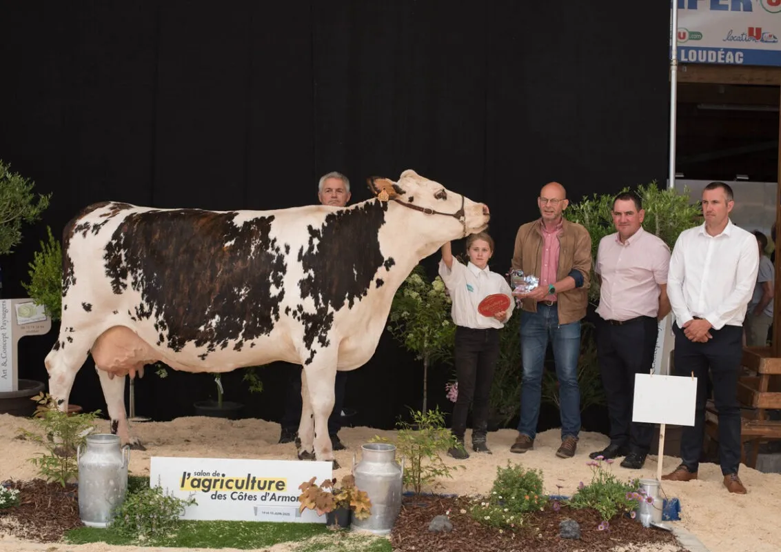 Meilleure fromagère et championne Gestante, Holandaise (Bugatin x Chesnay), au Gaec de l’élevage Lamour à Ploubezre (22)
