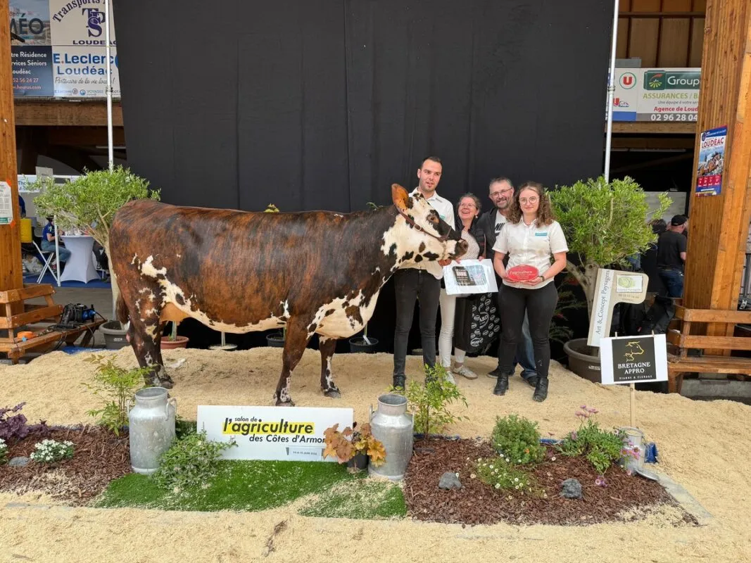Meilleure bouchère, Ramdame, au Gaec Ogé à Sérent (56)
