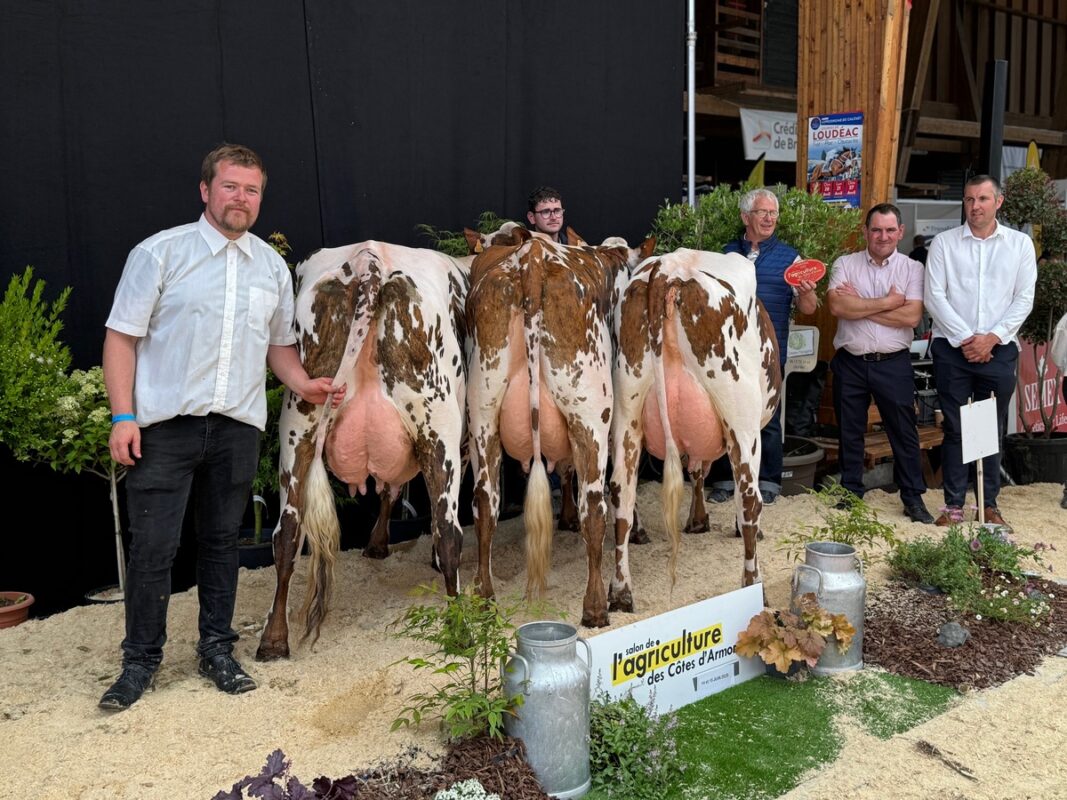 Prix du meilleur lot mamelle pour l'EARL 56 Laudrin à Moréac (56)