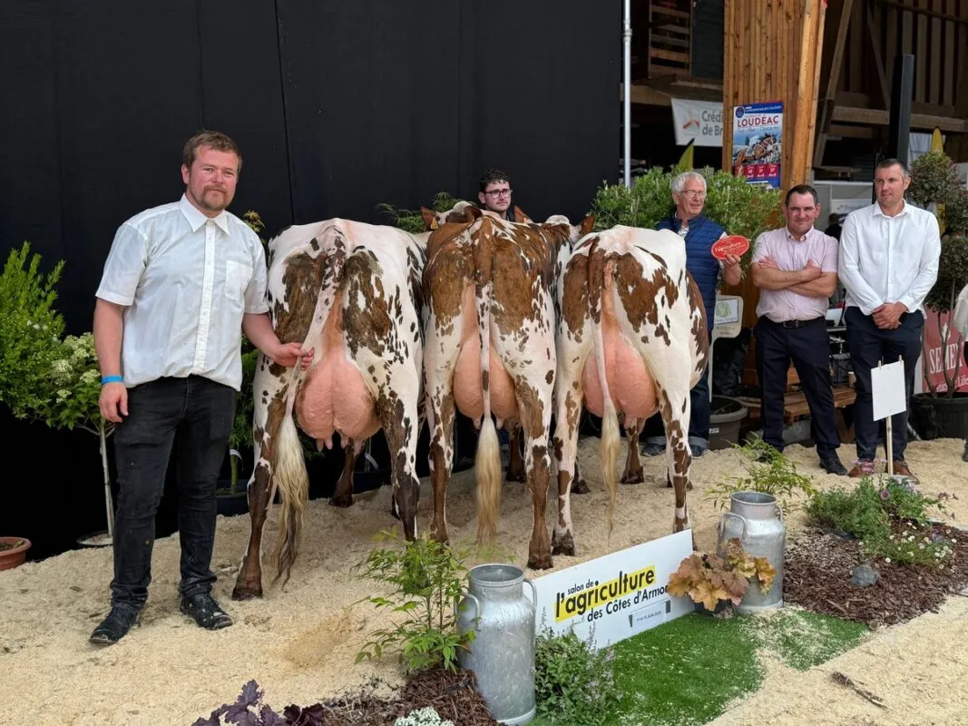 Prix du meilleur lot mamelle pour l'EARL 56 Laudrin à Moréac (56)
