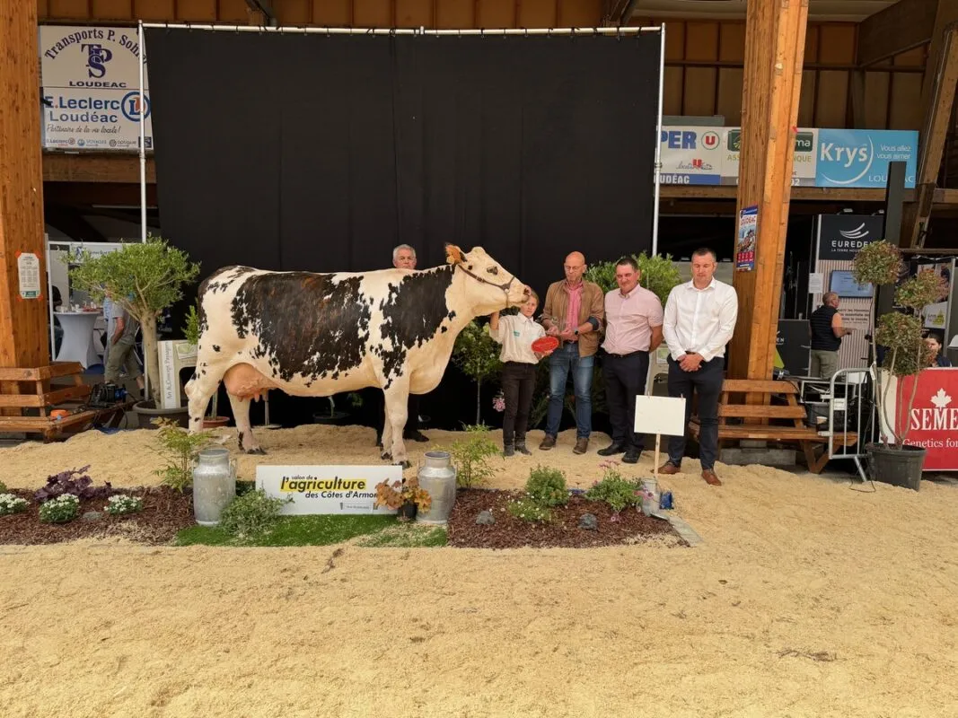 Meilleure fromagère et championne Gestante, Holandaise (Bugatin x Chesnay), au Gaec de l’élevage Lamour à Ploubezre (22)