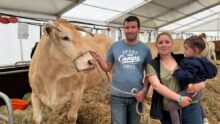 Une vache de race Blonde d'Aquitaine avec un couple d'éleveurs et une enfant