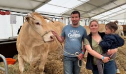 Une vache de race Blonde d'Aquitaine avec un couple d'éleveurs et une enfant