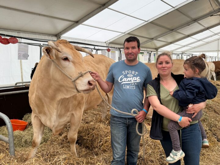 Une vache de race Blonde d'Aquitaine avec un couple d'éleveurs et une enfant