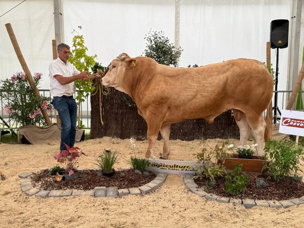 Urlu, à David Basset au Mené (22), remporte le prix des mâles de 16 à 24 mois.