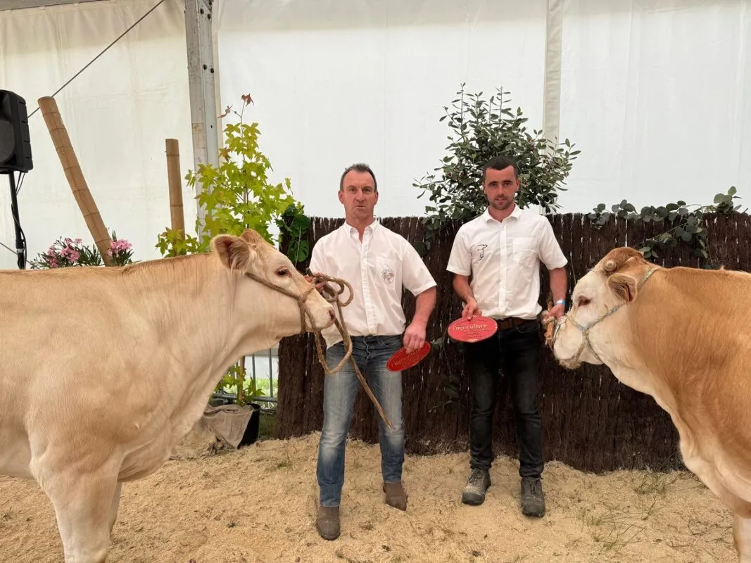 Voisine, à l’EARL de la Moulière à Caro (56), championne femelle de moins de deux ans, et Val, à Florian André à Pleudaniel (22), champion mâle de moins de deux ans.