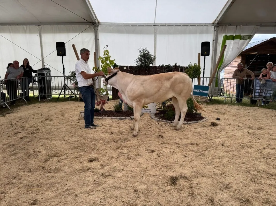 Valence, à David Basset (22), a empoché le prix de section 2 des femelles de moins de 12 mois.