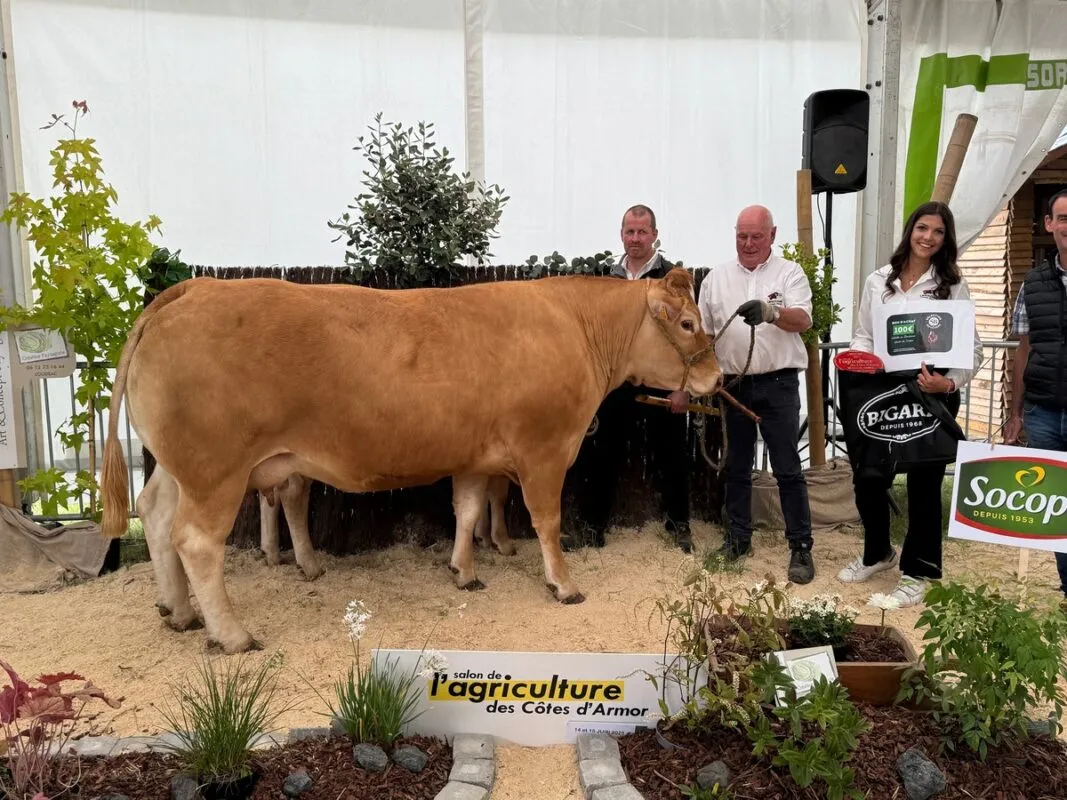 Paëlla (MMS x Haddock), à l’EARL du Bois au Bé à Trébry (22), a reçu de la prix de Meilleure qualité bouchère.