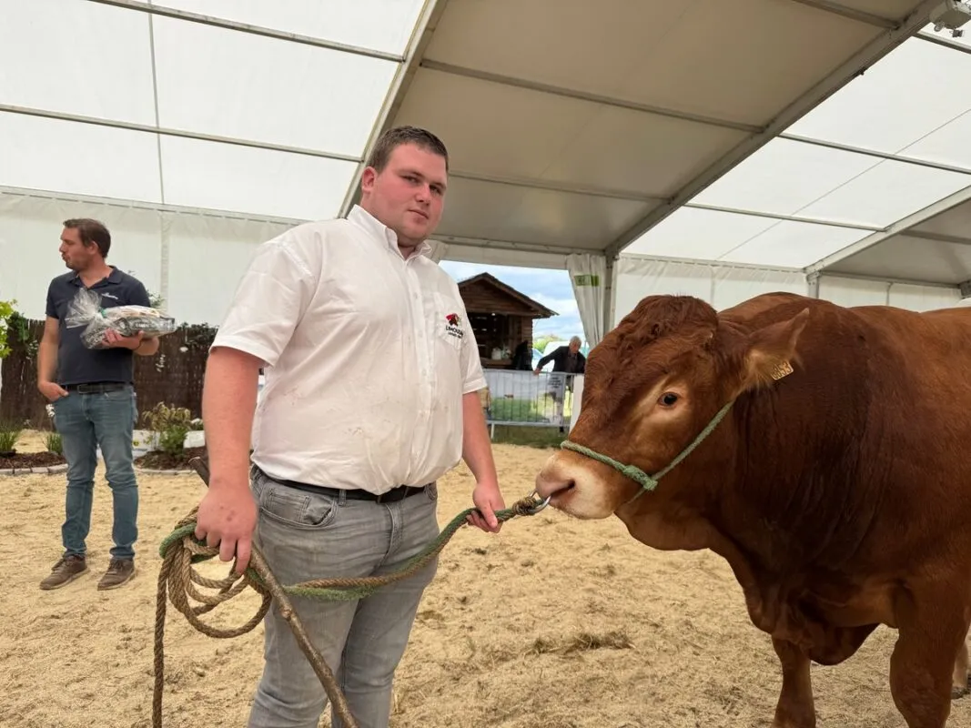 Ubay, au Gaec de Mezandray à Chauvigné (35), champion mâle