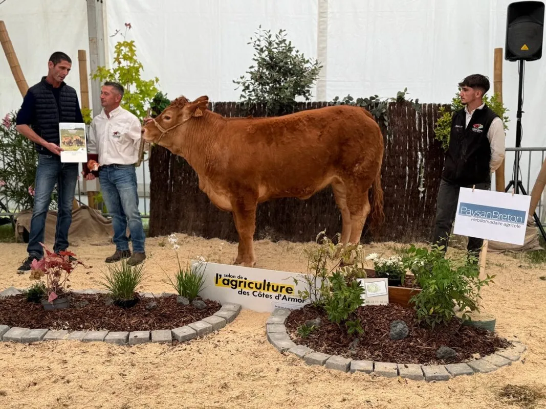 Meilleur animal du concours, la génisse Valence à la SCEA Quénet à Trévérien (35) accompagnée de ses présentateurs et du juge Éric Cabaret, éleveur à Hillion.
