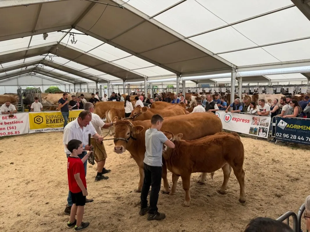Le juge Éric Cabaret, éleveur à Hillion, a souligné à plusieurs reprises l’ambiance et le public nombreux autour du concours de la race Limousine à Loudéac.