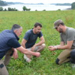 trois personnes dans un champ à genoux pour observer l'herbe