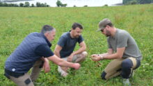 trois personnes dans un champ à genoux pour observer l'herbe