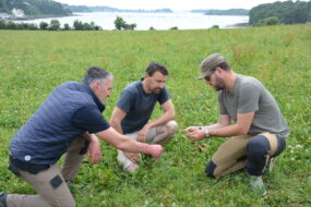 trois personnes dans un champ à genoux pour observer l'herbe