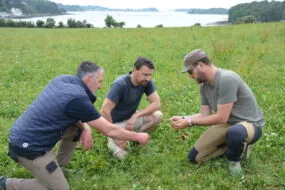 trois personnes dans un champ à genoux pour observer l'herbe