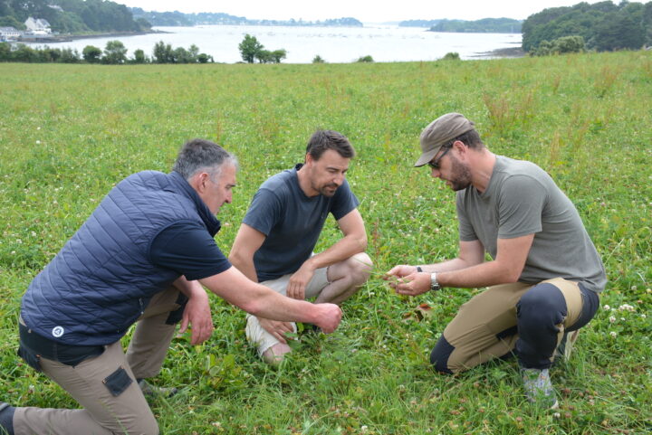 trois personnes dans un champ à genoux pour observer l'herbe