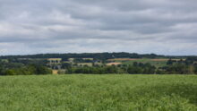 Un paysage de bocage