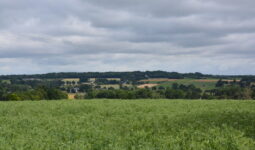 Un paysage de bocage