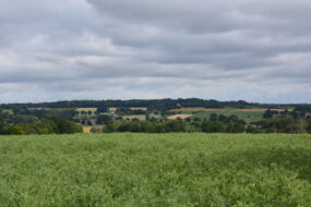 Un paysage de bocage