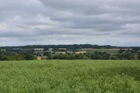 Un paysage de bocage