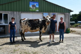 des éleveurs et une vache normande devant un bâtiment