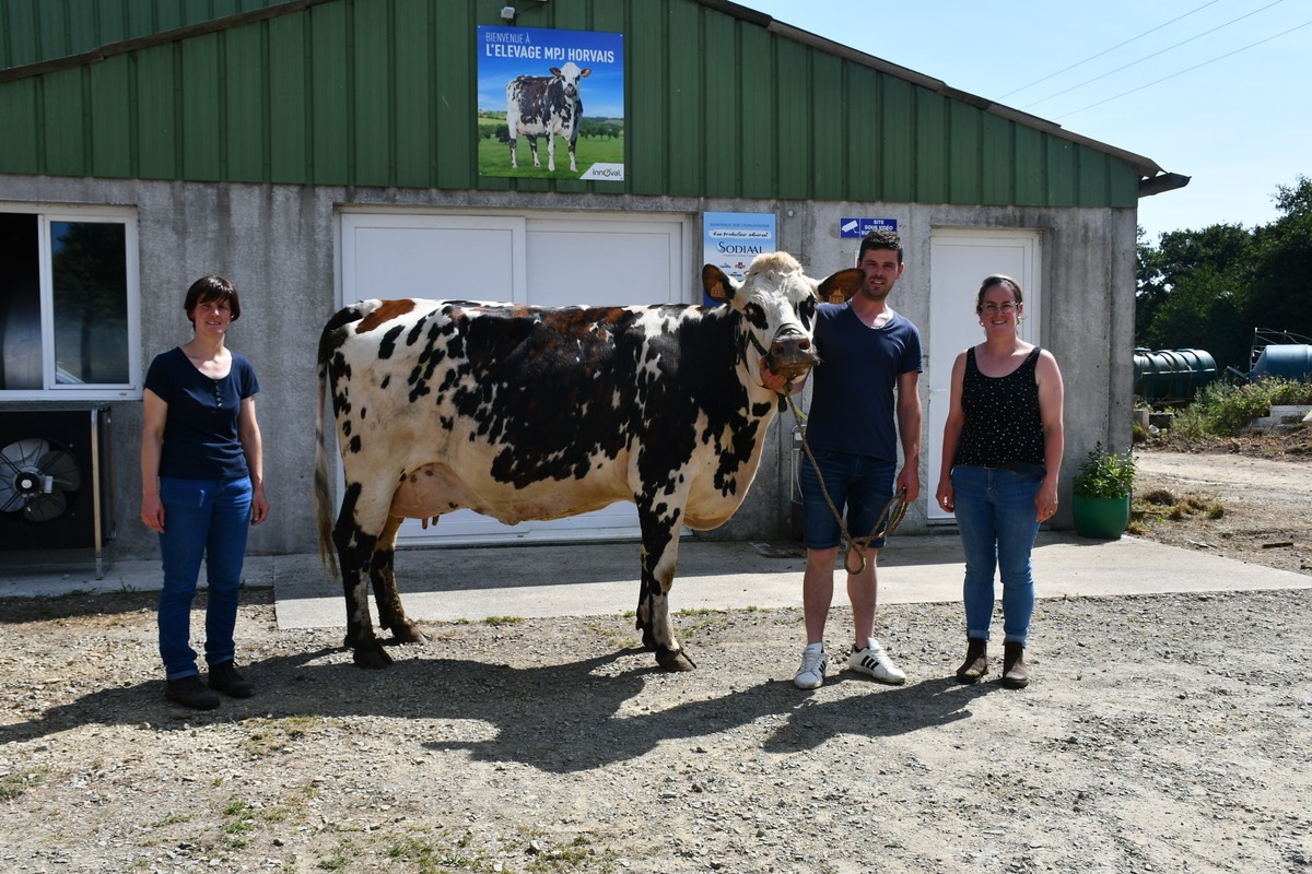 des éleveurs et une vache normande devant un bâtiment - Illustration Un lancement de Gaec bien structuré