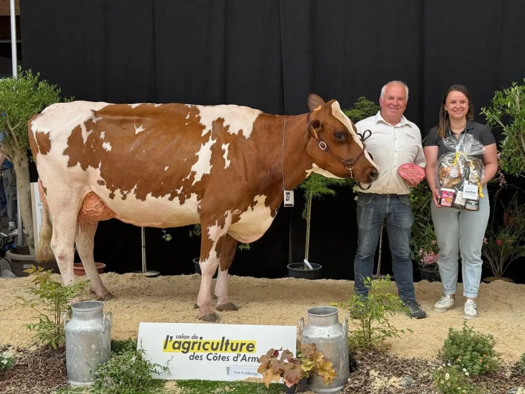 Ravie, au Gaec de Saint-Gildas à Saint-Connec (22), est championne et meilleure mamelle chez les adultes