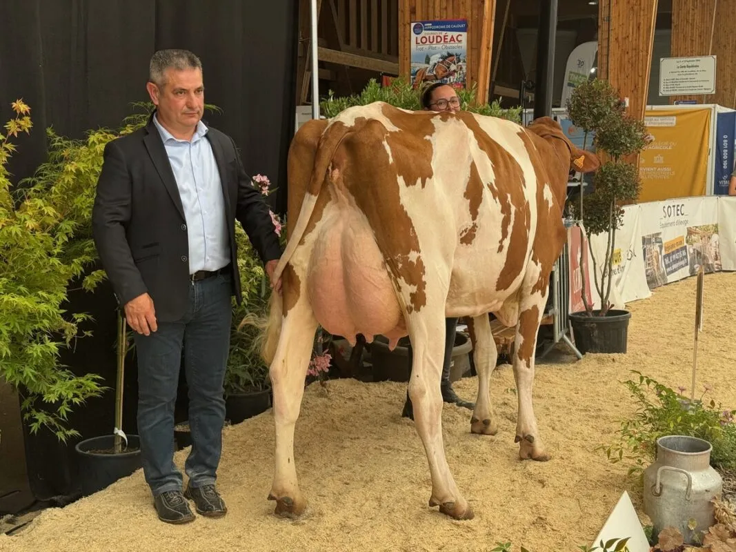 Genmaz6968 (Crown Red x Atomic PP), à Pierrick Leroux à Langoat (22), meilleure mamelle jeune.
