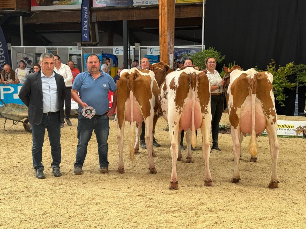 Prix d’élevage pour Pierrick Leroux à Langoat (22)