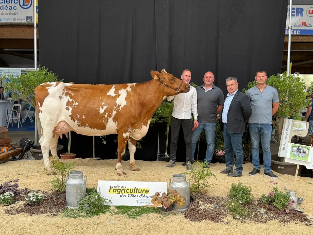 Parisienne (Monster P x Jorho P), au Gaec Collet Menier, décroche le premier prix de section des 4e lactation