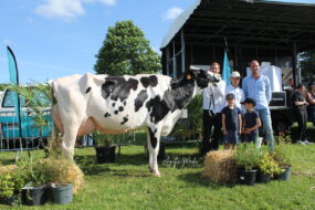 Cinq personnes posent avec une vache Prim'Holstein lors d'un concours bovin