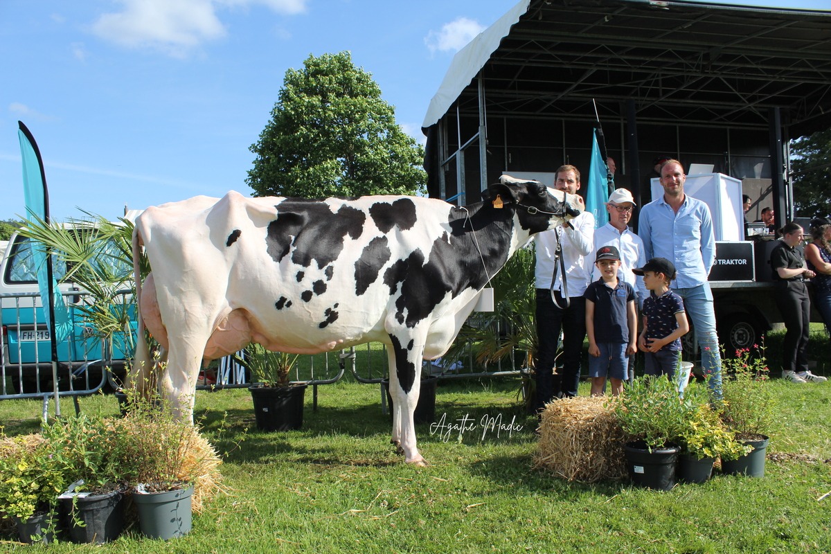 Cinq personnes posent avec une vache Prim'Holstein lors d'un concours bovin - Illustration Randonnée en grande forme