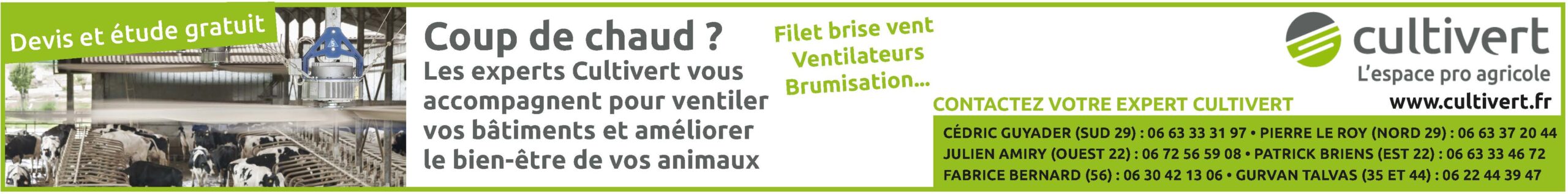 mega bann distrivert du 6 06