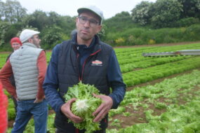Un marAîcher dans un champ avec une salade dans les mains