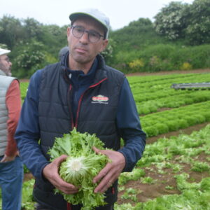 Un marAîcher dans un champ avec une salade dans les mains
