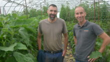 Deux hommes dans une serre