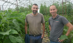 Deux hommes dans une serre