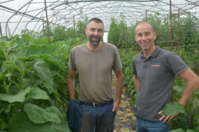 Deux hommes dans une serre