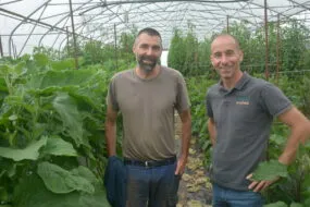 Deux hommes dans une serre