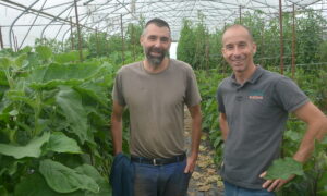 Deux hommes dans une serre